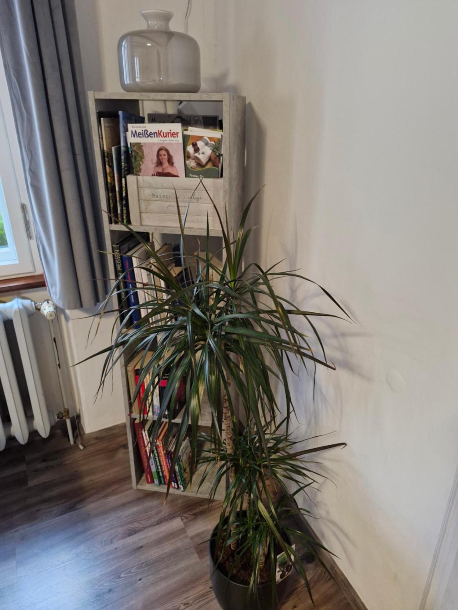 Ferienwohnung Ines Wolf In Der Meissner Innenstadt ไมเซน ภายนอก รูปภาพ